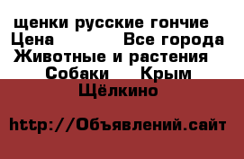 щенки русские гончие › Цена ­ 4 000 - Все города Животные и растения » Собаки   . Крым,Щёлкино